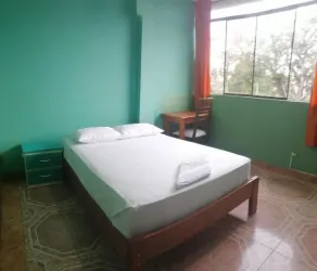 Plaza Jungle Hostel - Room