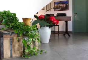 Bouganville B&B - Réception