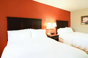 Hampton Inn Richmond-Southwest-Hull Street - Chambre