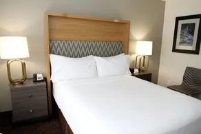 Holiday Inn O'Hare Area by IHG - Værelse