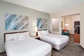 Springhill Suites by Marriott Chicago Schaumburg/Woodfield Mall - Chambre