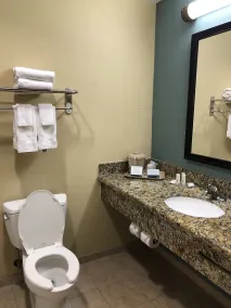 Quality Inn Donaldsonville - Gonzales - Salle de bain
