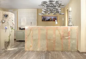 Forest Suites Boutique Hotel - Reception
