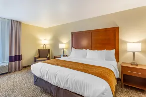 Comfort Inn DeKalb - University Area - Room