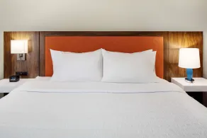 Hampton Inn Lexington South-Keeneland/Airport - Rum