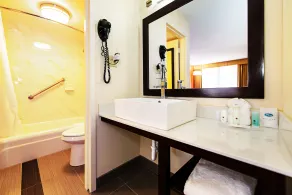 New Hope Inn & Suites - Baño