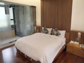 Peace Area Hot Spring Hotel - Room