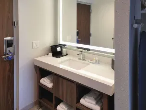 Comfort Inn & Suites Wyomissing-Reading - Salle de bain