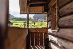 Hotel Julian Alps - Udsigt fra værelset