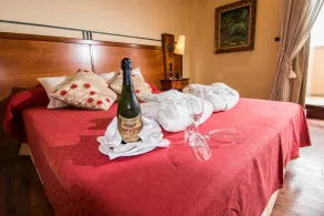 Hotel Abades Guadix - Room
