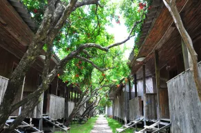 Turkmen Tree Houses - Rom