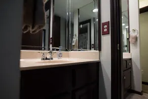 Resort Attractions - Salle de bain