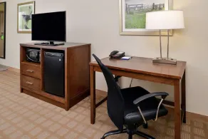 Hampton Inn & Suites Hutto Austin - Room