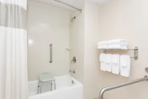Days Inn by Wyndham Statesboro - Bathroom