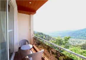 The Royal Castle - View from room