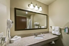 Cobblestone Hotel & Suites Pulaski/Green Bay - Badezimmer