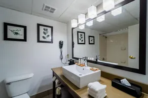 Country Inn & Suites by Radisson, Richmond I-95 South, VA - Salle de bain