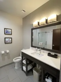 Comfort Inn & Suites Balch Springs - SE Dallas - Salle de bain