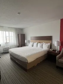Ramada by Wyndham Effingham - Chambre