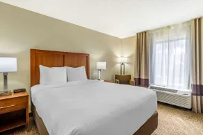 Comfort Inn & Suites St Pete - Clearwater International Airport - Chambre