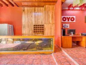 OYO Hotel Mi casa, Oaxaca centro - Reception