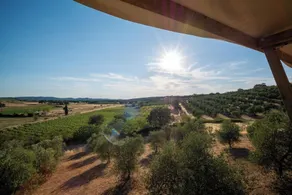 Glamping Podere San Jacopo - Diverse