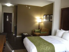 Comfort Suites Dover University Area - Chambre