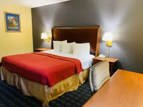 Value Lodge - Gainesville - Rom
