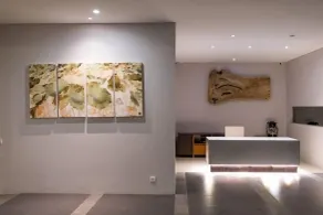 Villa Maiara - Recepción