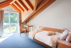 Hotel Bessunger Forst - Room