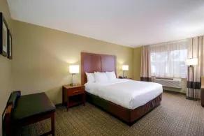 Comfort Inn Near Gila National Forest - Chambre