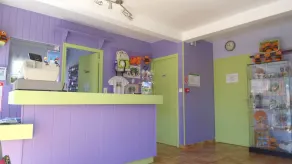 VVF Cantal Salers Vendes, Bassignac - Reception