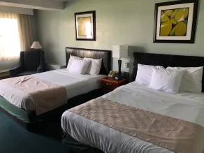 Quality Inn & Suites Auburn I-95 - Room