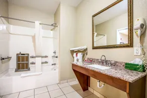 Econo Lodge Inn & Suites Horn Lake - Southhaven - Salle de bain