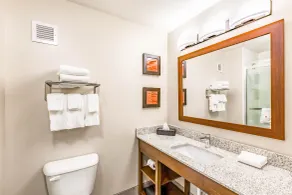 Comfort Inn Altoona-Des Moines - Salle de bain