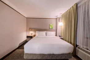 Hilton Garden Inn Detroit - Southfield, MI - Vue de la chambre
