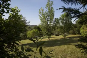 Kinderfreundliche Villa mit Garten, Grill und Terrasse | Gartenblick | Ideal für Homeoffice - Ausblick vom Zimmer