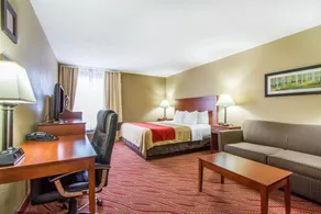 Comfort Inn Poplar Bluff North - Chambre