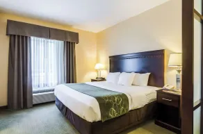 Comfort Suites Gothenburg South - Rom