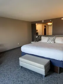 Hilton Garden Inn Fort Wayne North - Værelse