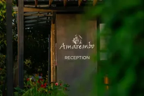 Amarembo by Touch Down - Réception