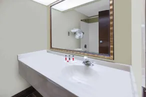 Days Inn by Wyndham Milan Sandusky South - Salle de bain