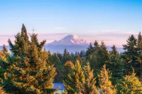 DoubleTree by Hilton Seattle Airport - Vue de la chambre