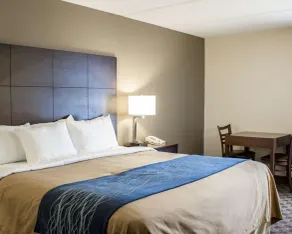 Comfort Inn & Suites Fuquay Varina - Chambre