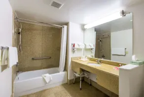 Econo Lodge Little Creek - Salle de bain