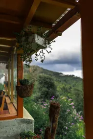 Panchachuli House - Terrace/patio