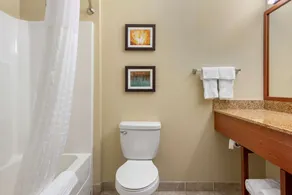 Comfort Inn & Suites Barnesville - Frackville - Badezimmer