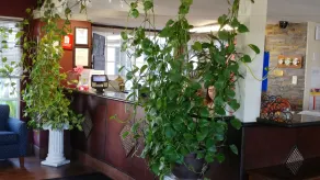 La Plaza Inn - Lobby