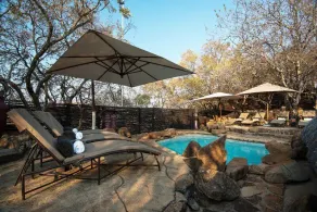 Tshukudu Bush Lodge - Pool