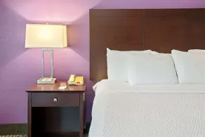 La Quinta by Wyndham Houston - Magnolia - Chambre